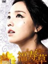 福寿草DVD